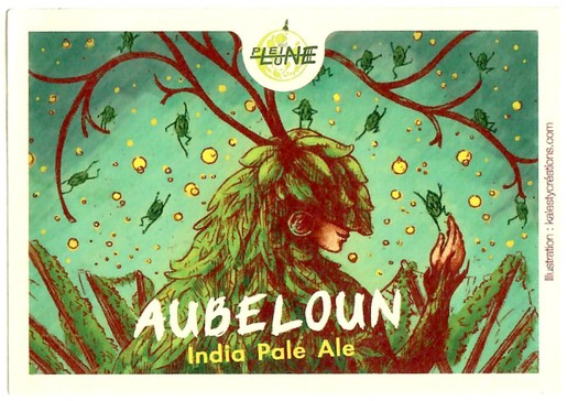 Etiquette BRASSERIE DE LA PLEINE LUNE 58