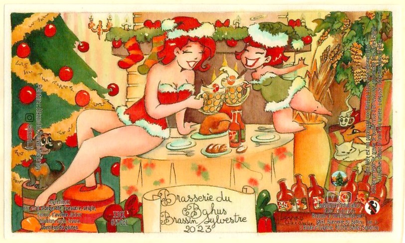 Etiquette BRASSERIE DU BAHUS 27